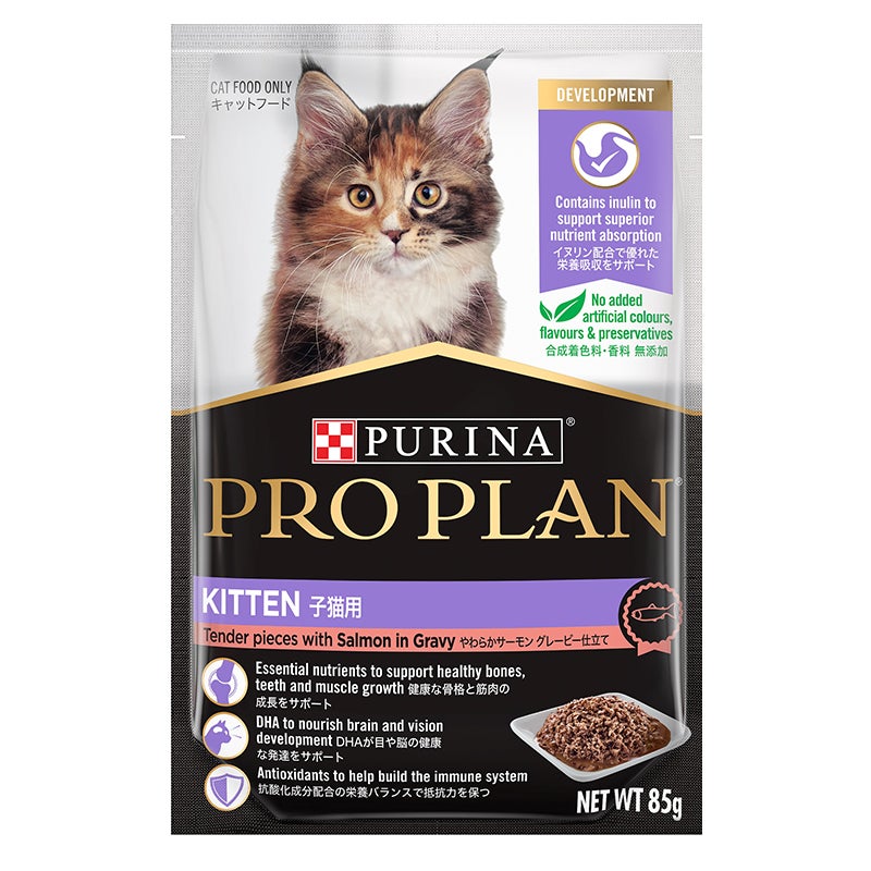 子猫用 やわらかサーモングレービー仕立て キャットフード - ピュリナ